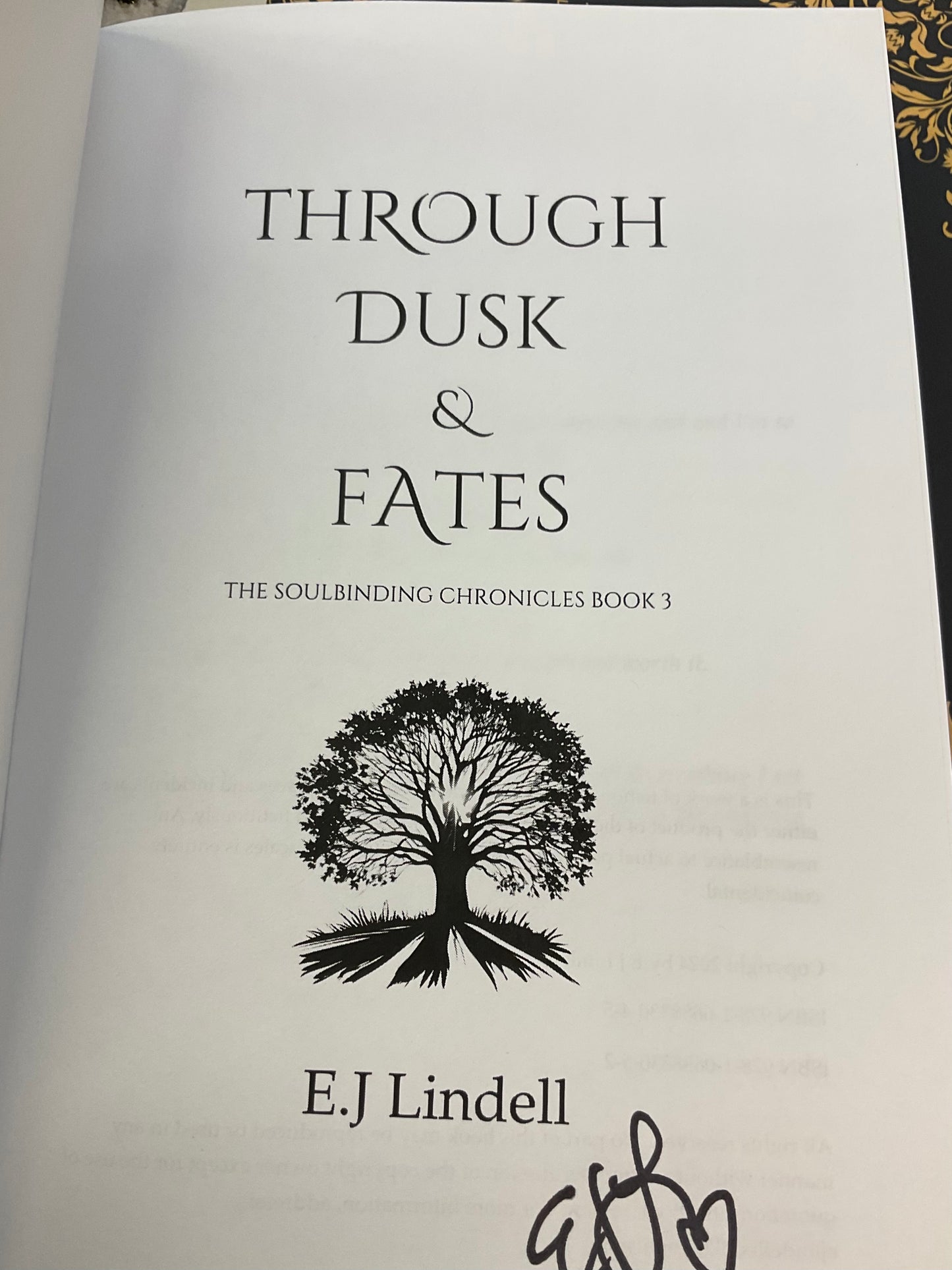Through Dusk & Fates