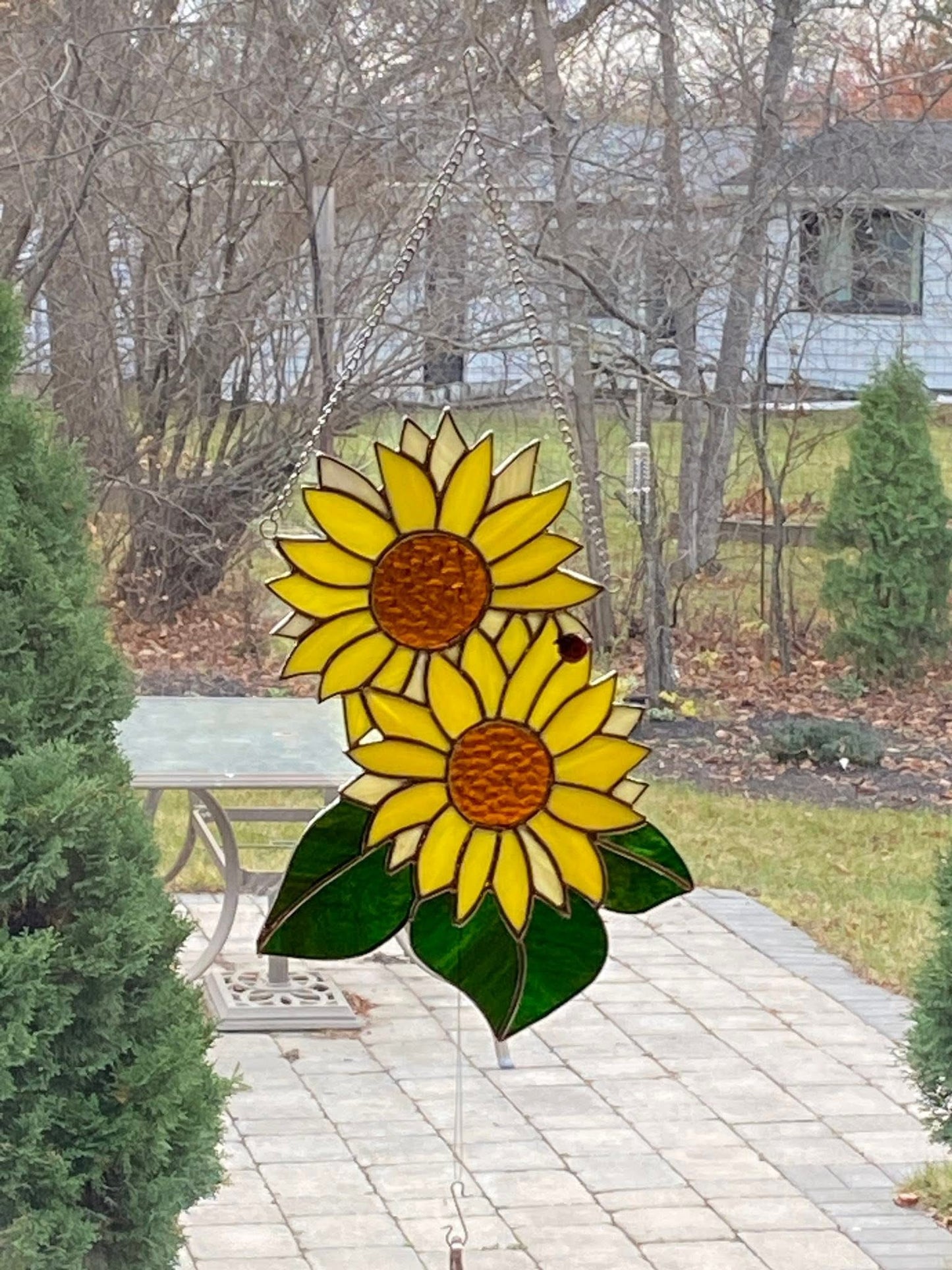 2 Sunflowers & A Ladybug