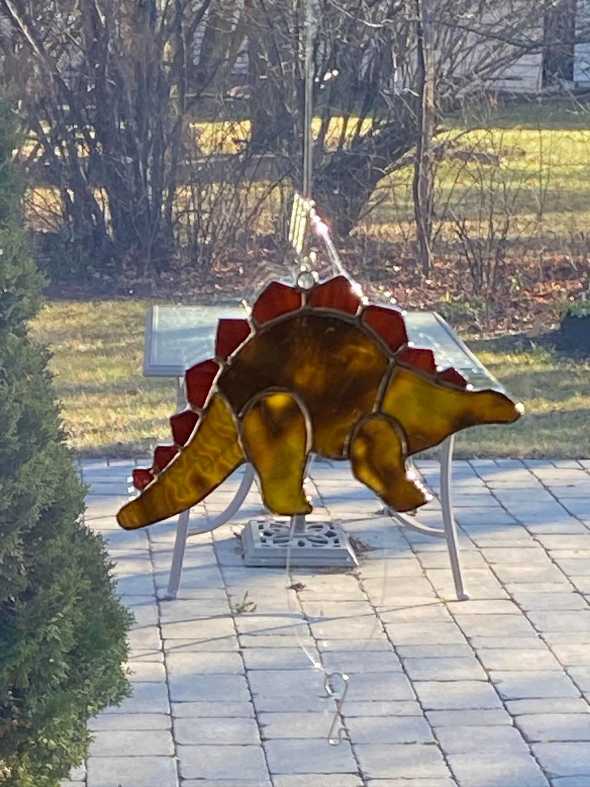 Stegosaurus