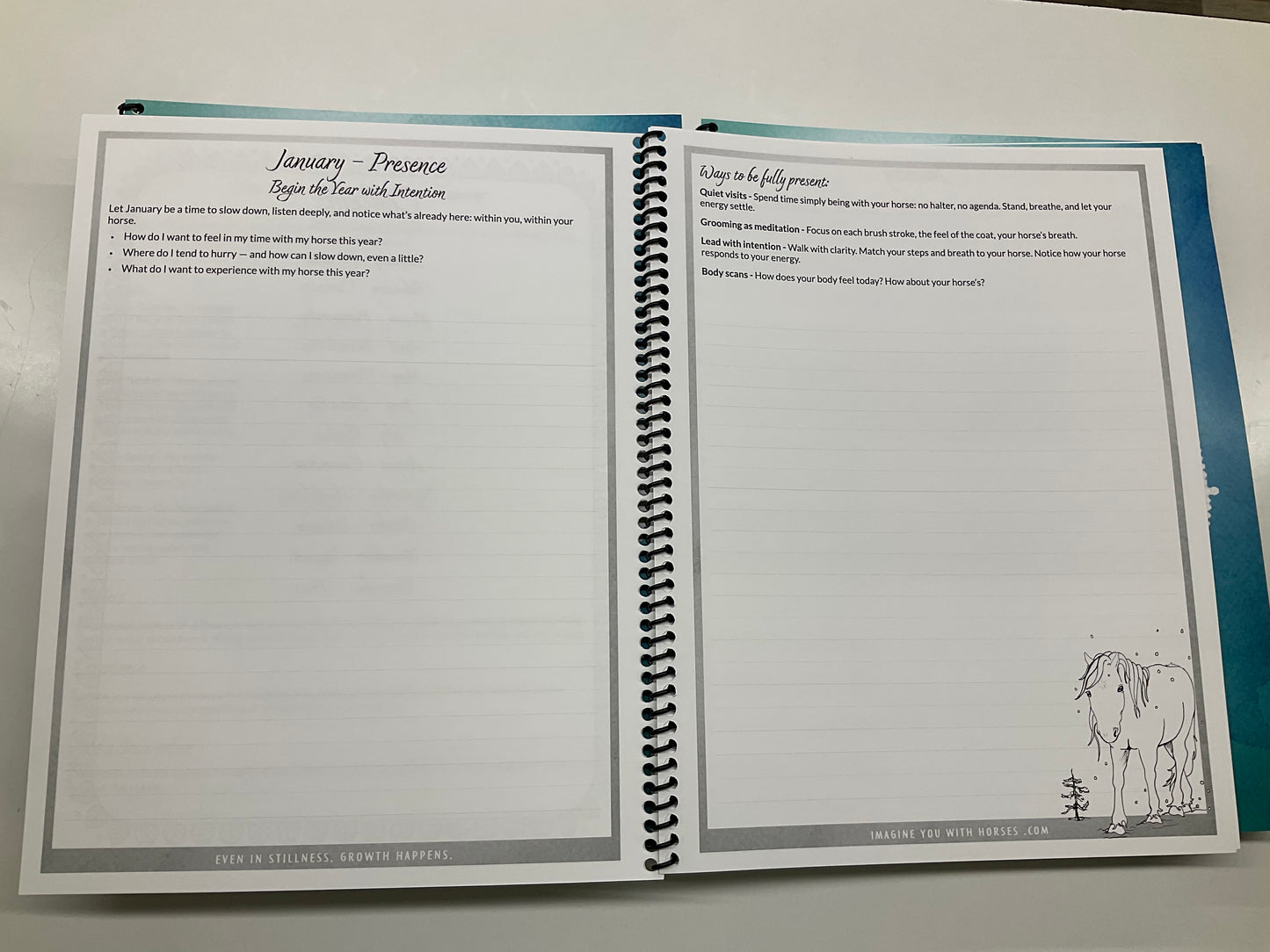Horse & Heart Journal