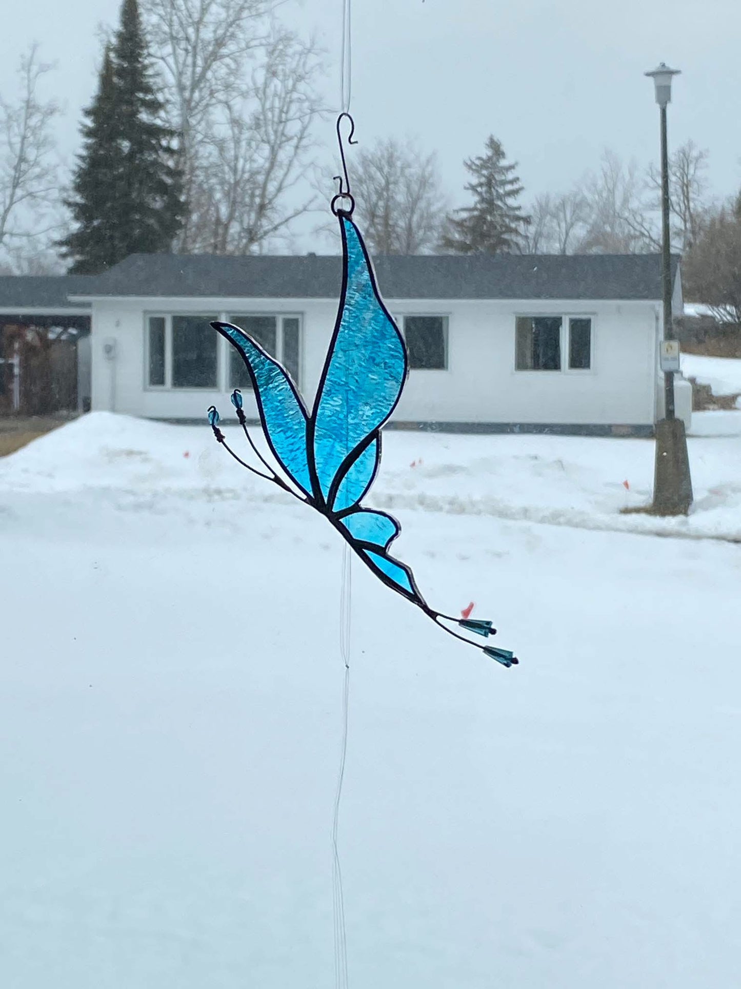 Butterfly Stylized