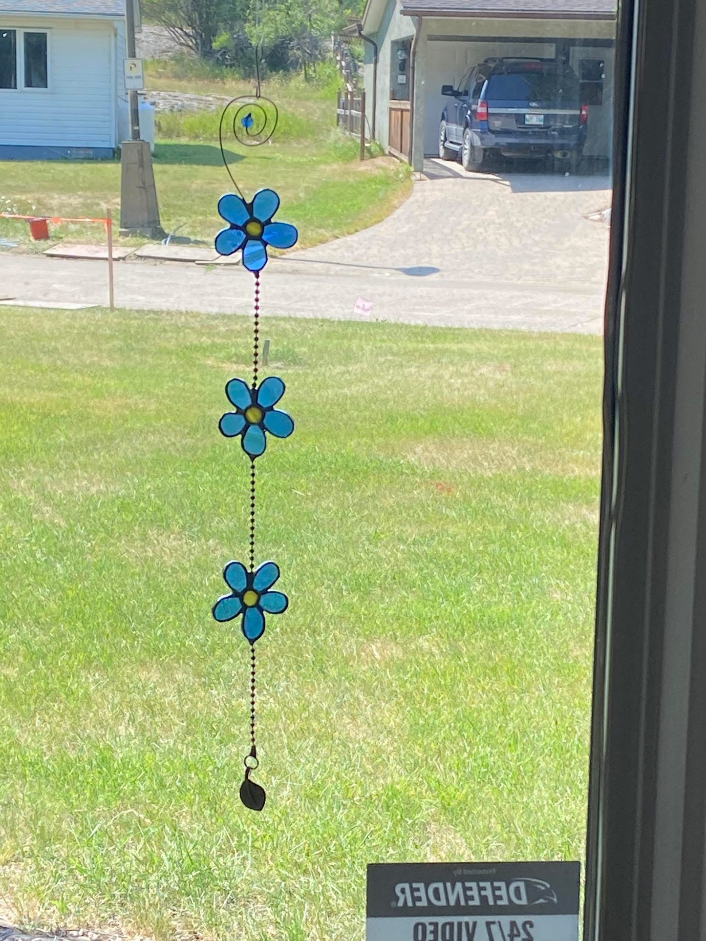 Forget Me Nots