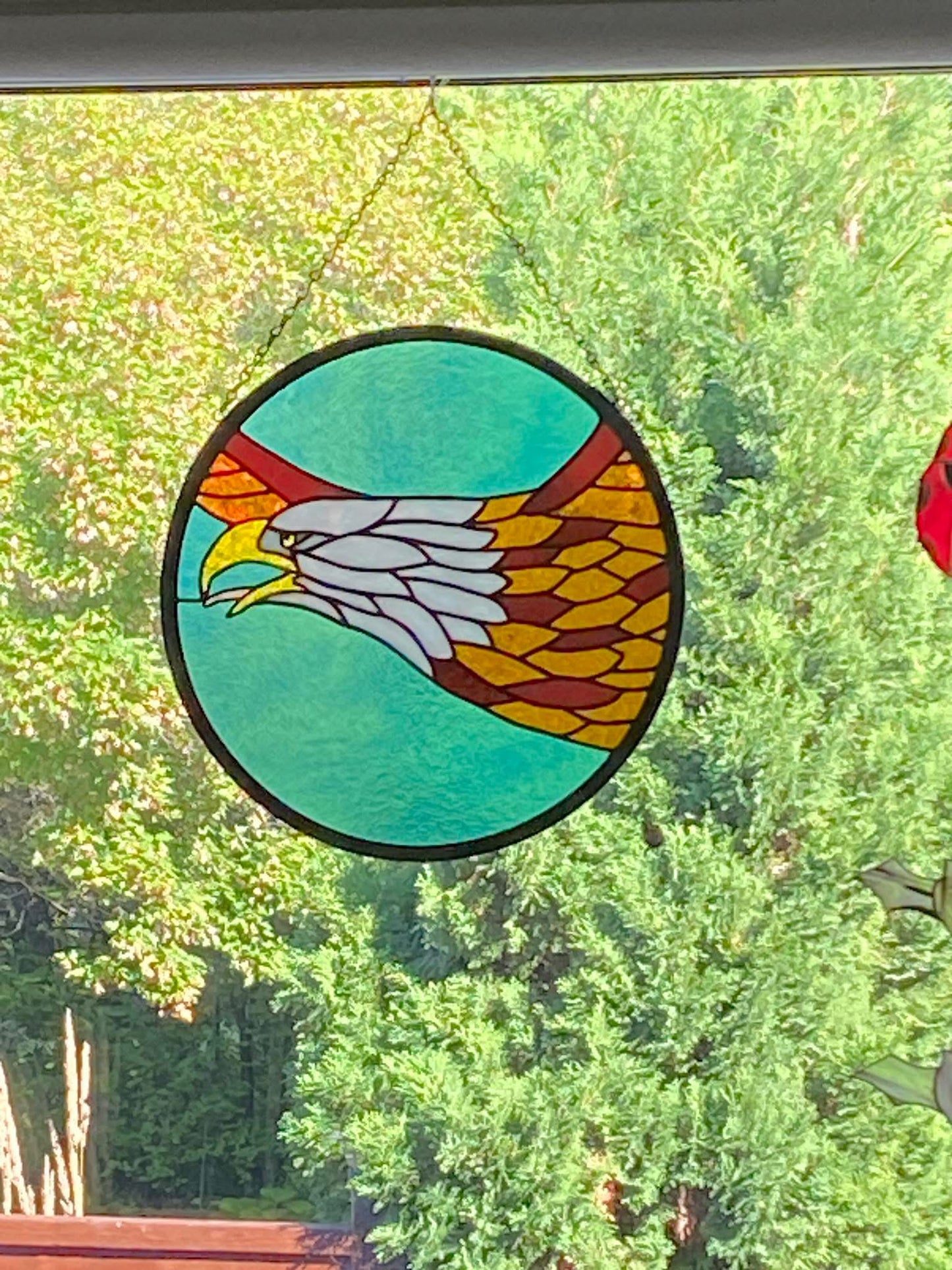 Eagle Flying In The Round