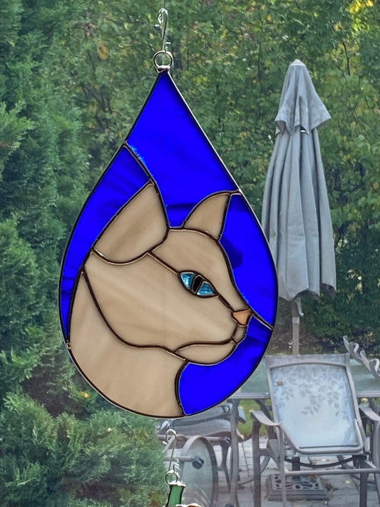 Teardrop Cat
