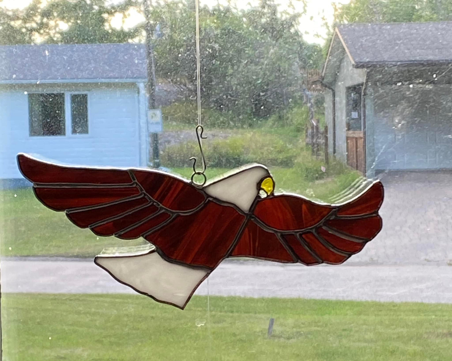 Eagle Soaring