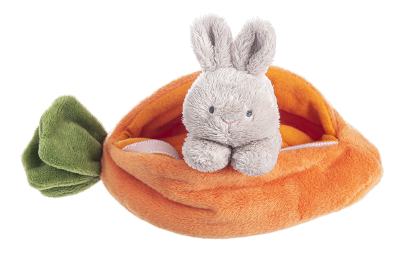 Carrot Learn & Grow - 4 piece set
