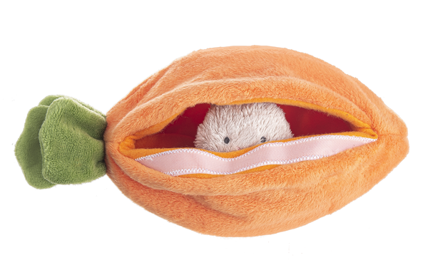 Carrot Learn & Grow - 4 piece set