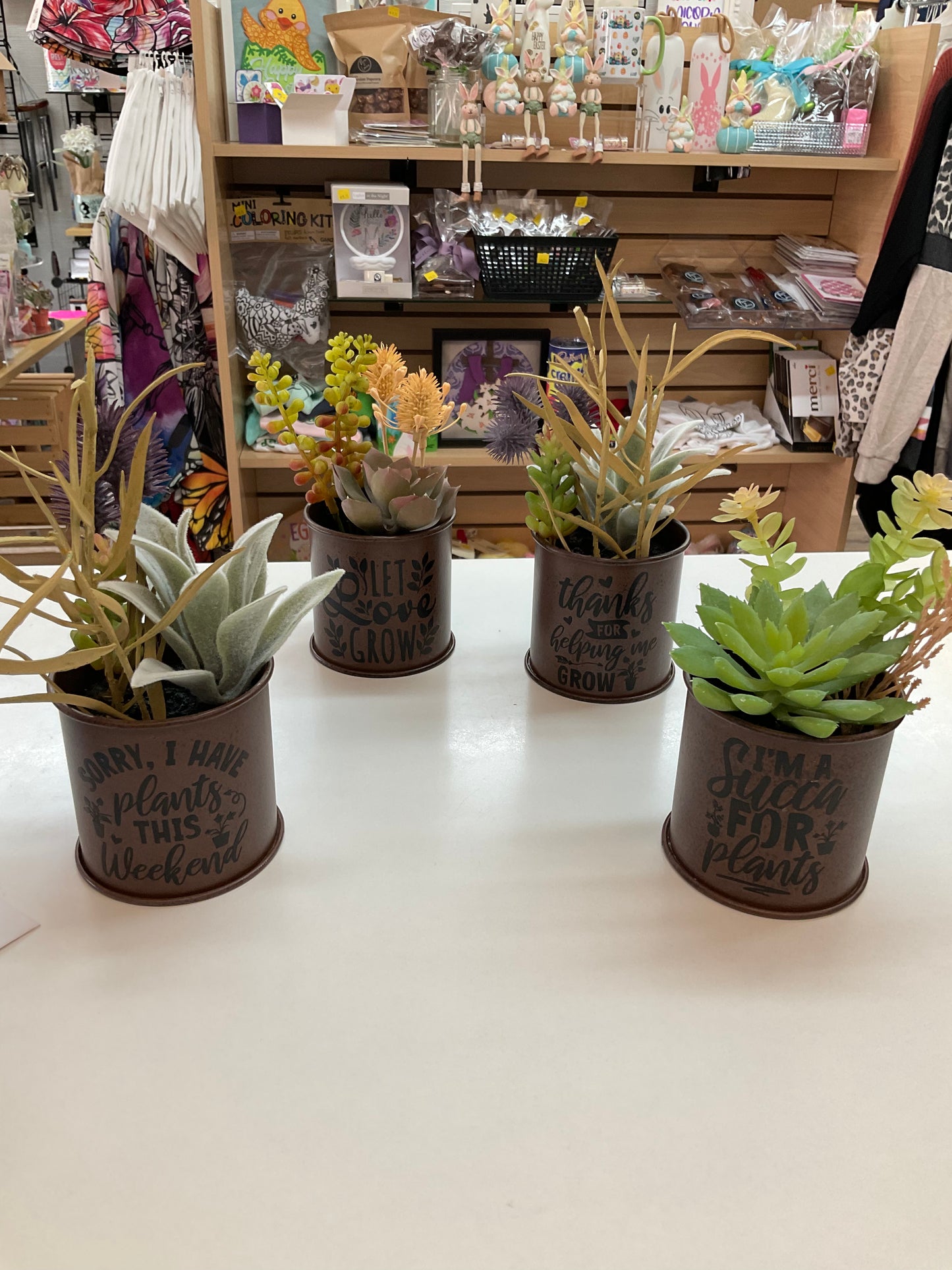Succulent Arrangement