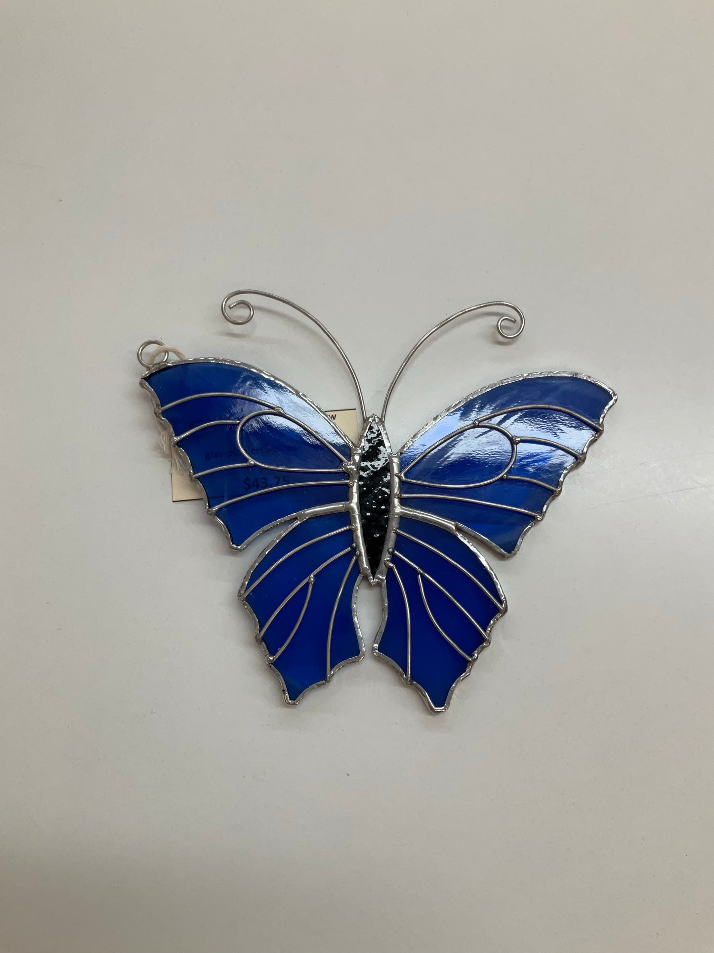 Butterfly With Ruffles - Full View