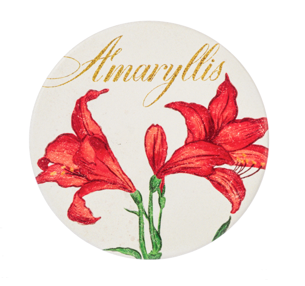 Christmas Floral Coaster Set