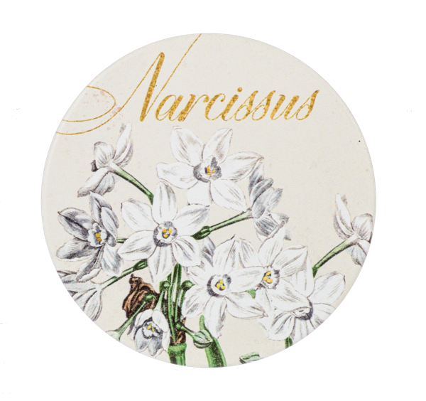Christmas Floral Coaster Set
