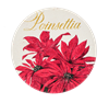 Christmas Floral Coaster Set