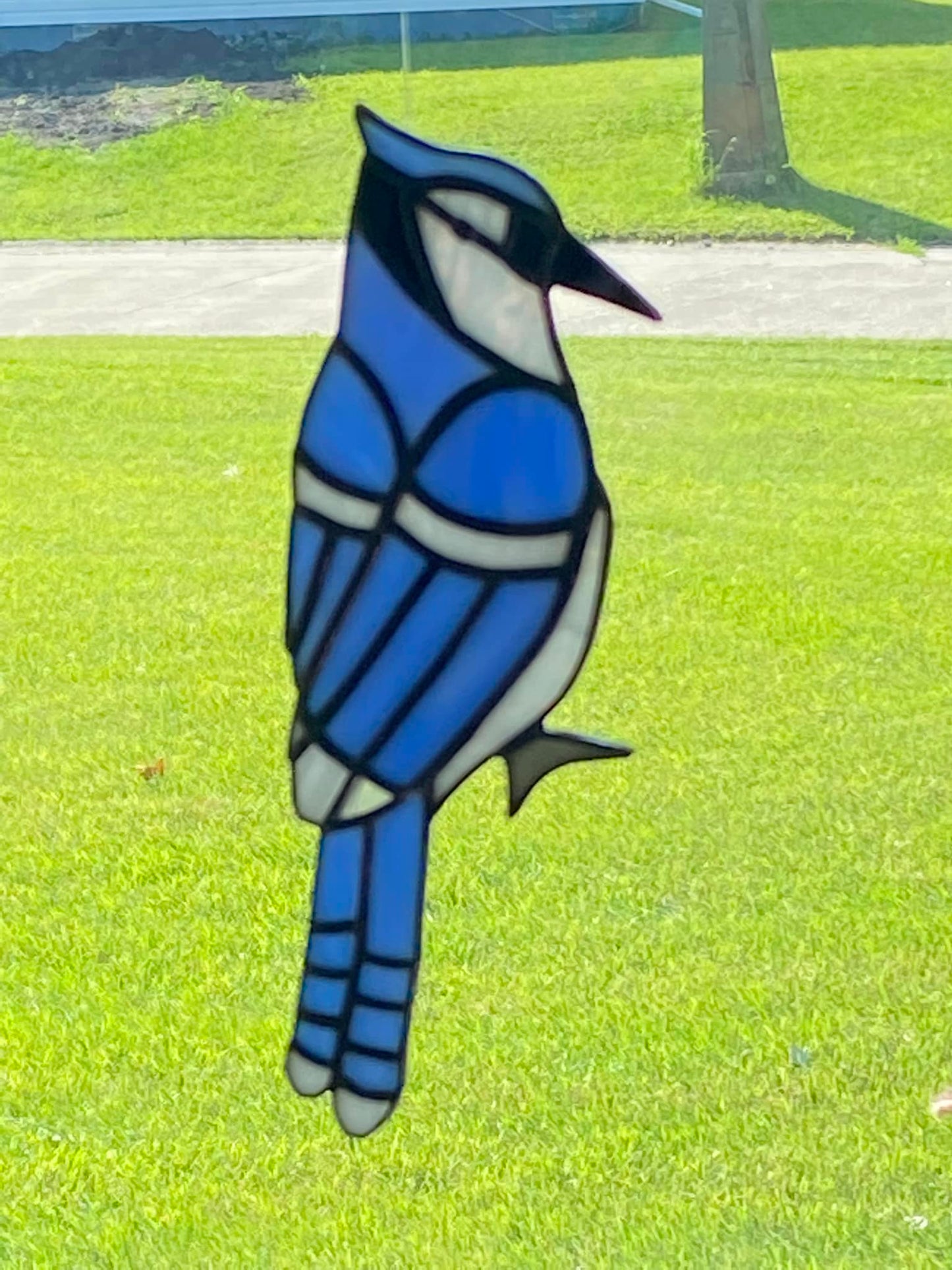 Blue Jay Suncatcher