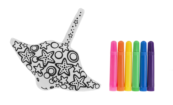 Color animal kit with markers