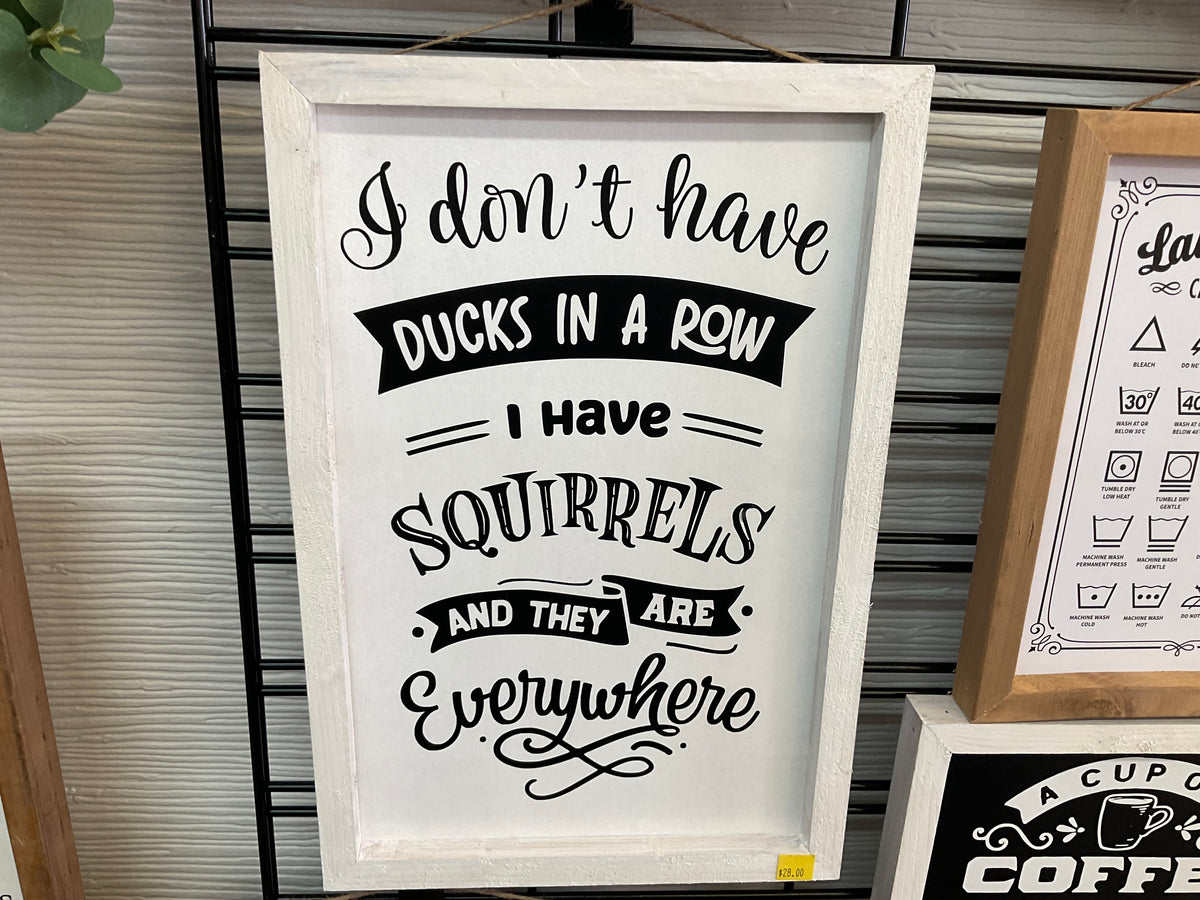 I Don’t Have Ducks or a Row I Have Squirrels Everywhere