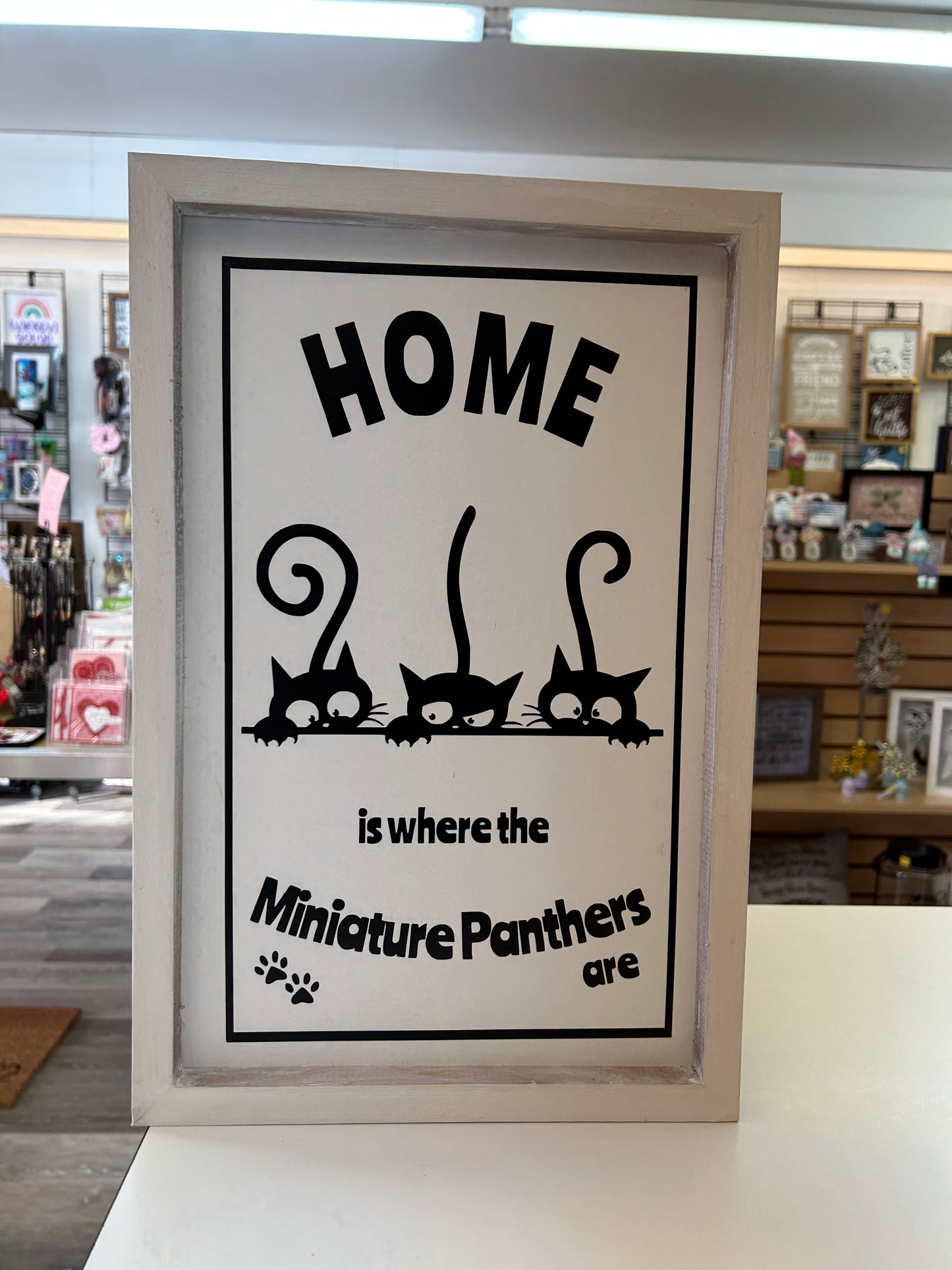 Home Is where the miniature panthers are