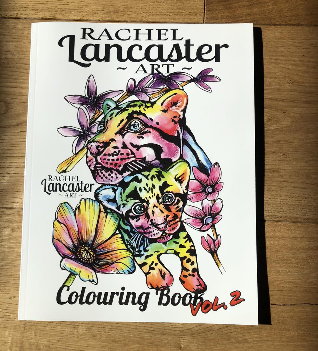 Colouring Book Volume 2 by Rachel
