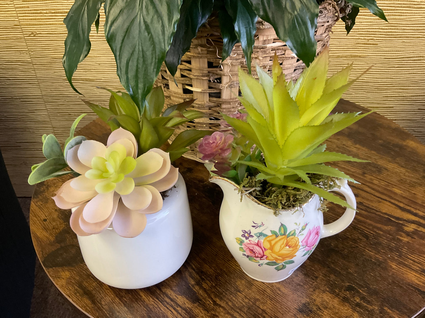 Creamer Succulent