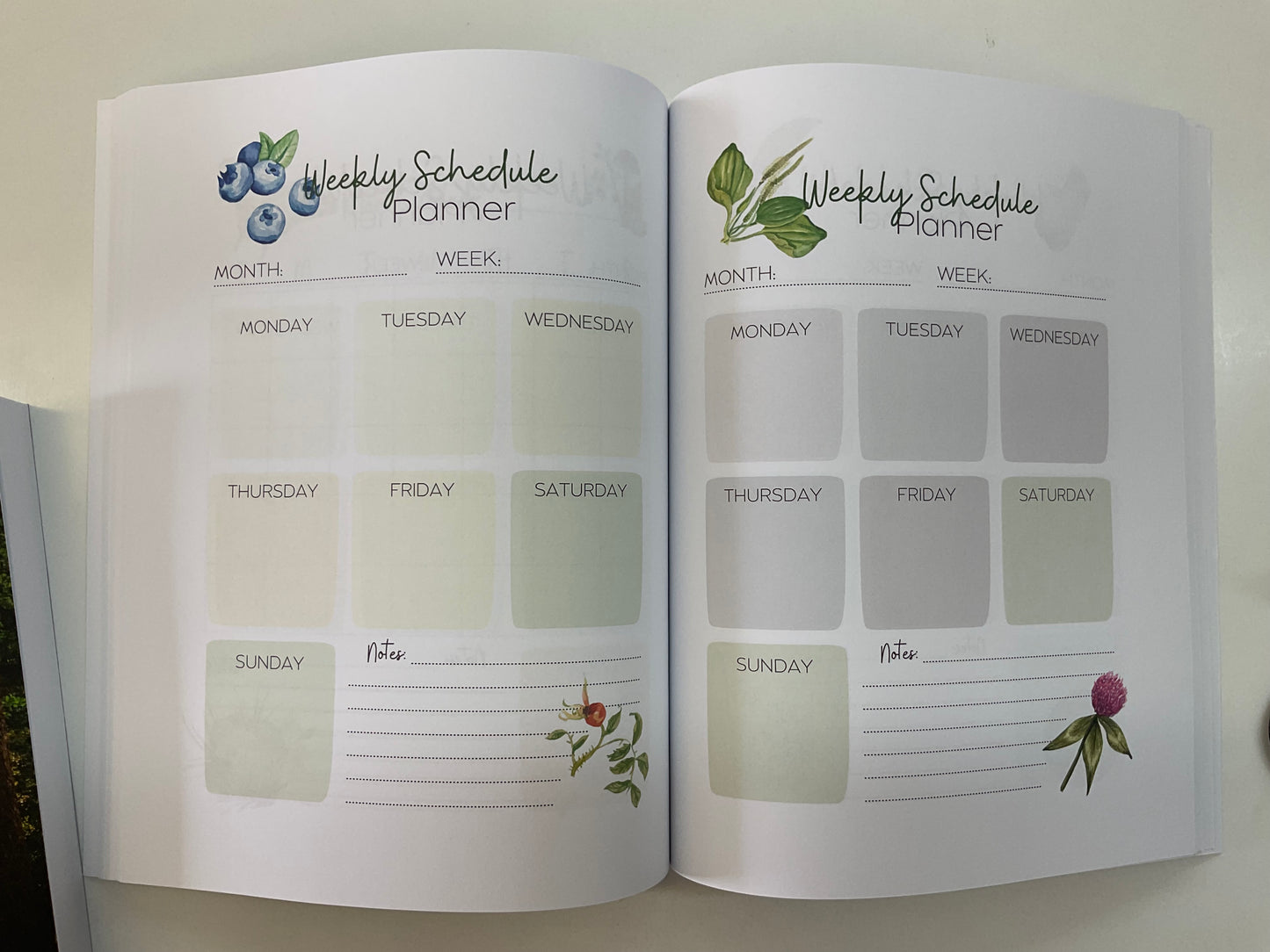 18 Month Calendar