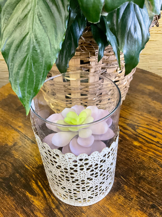 Coffee Bean Succulent Jar
