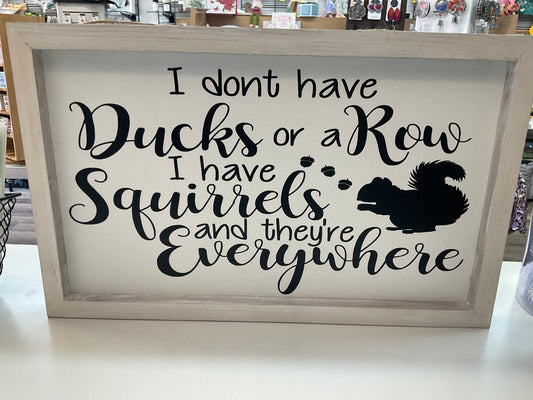 I Don’t Have Ducks or a Row I Have Squirrels Everywhere