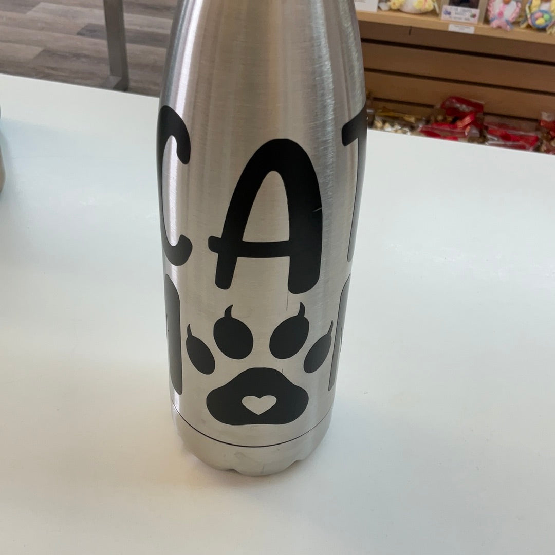 Stainless Steel Water Bottle