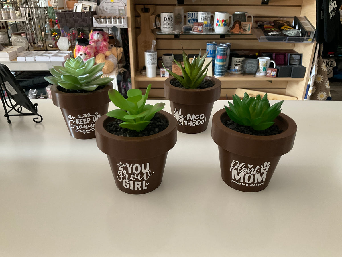 Succulent Potted Plants