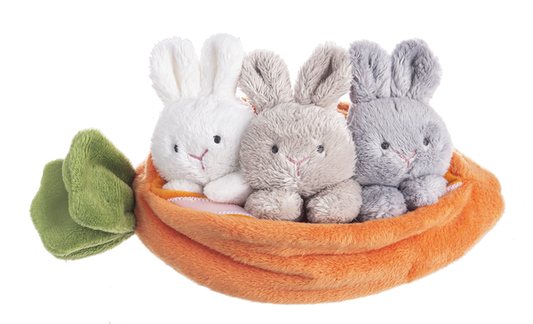 Carrot Learn & Grow - 4 piece set