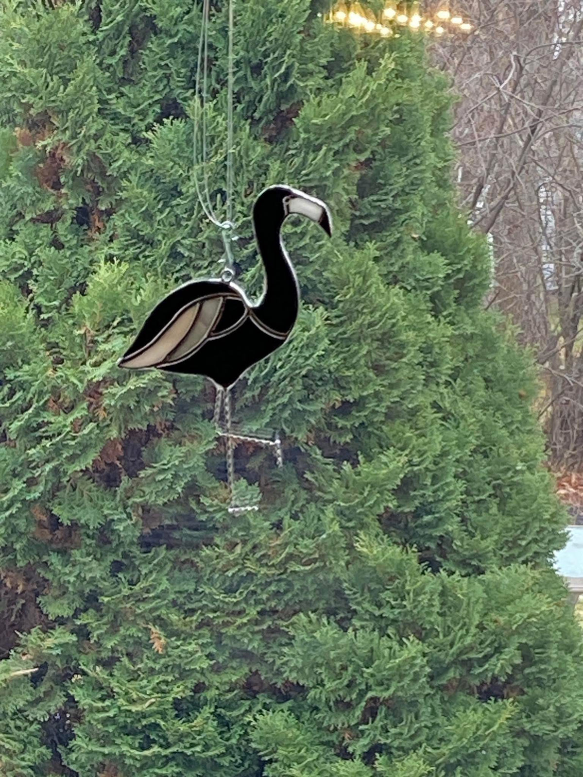 Flamingo