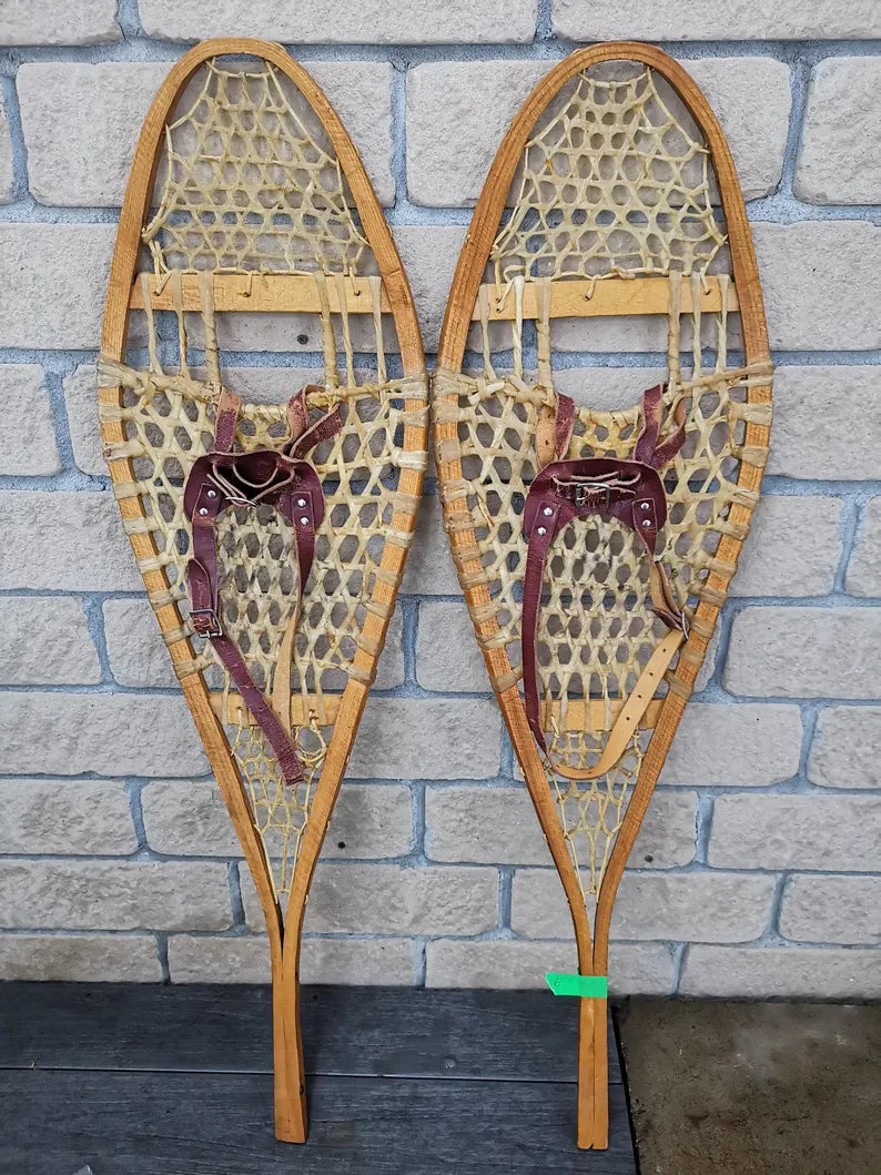 Snow Shoe Insoles