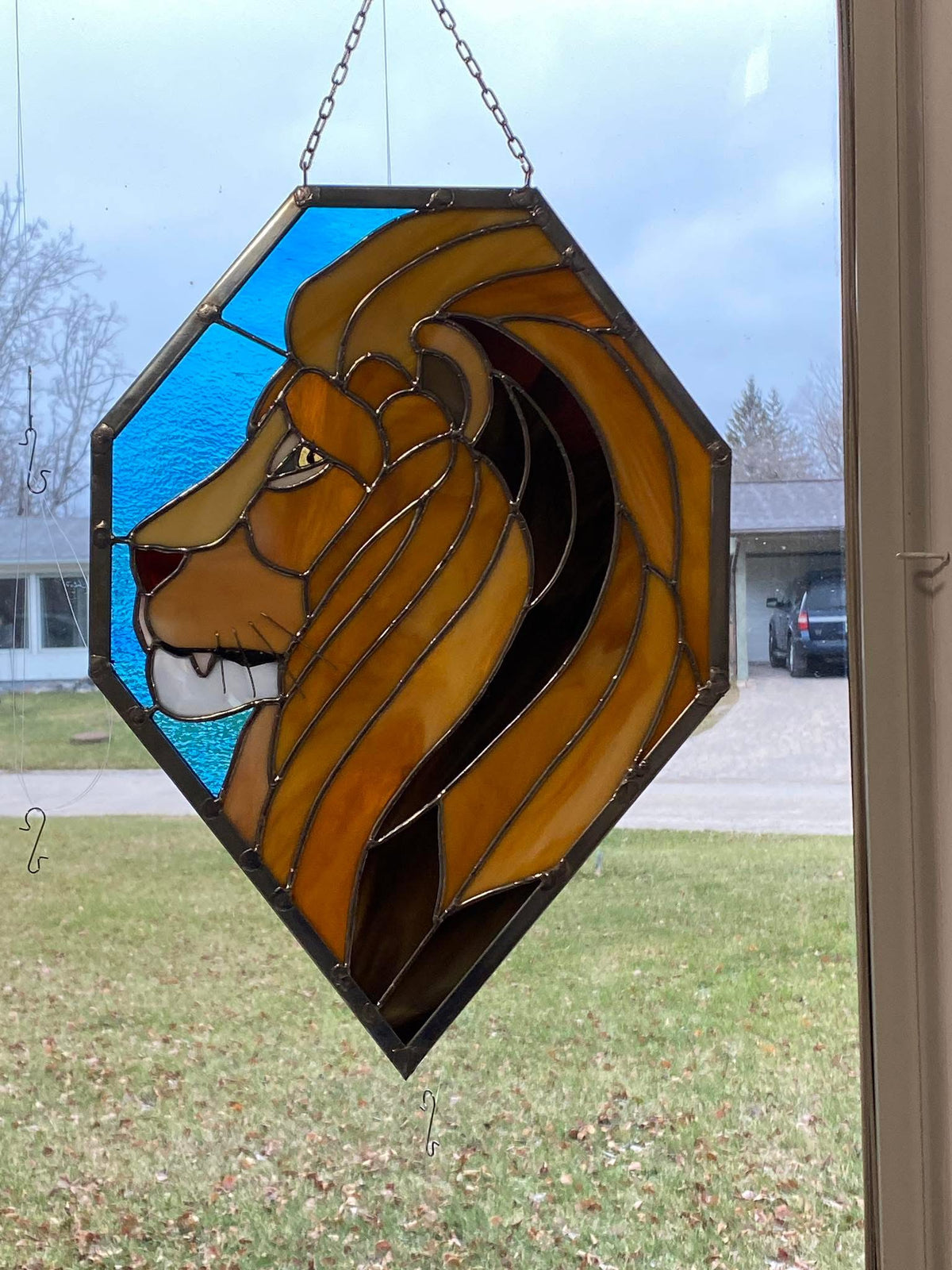 The Lion