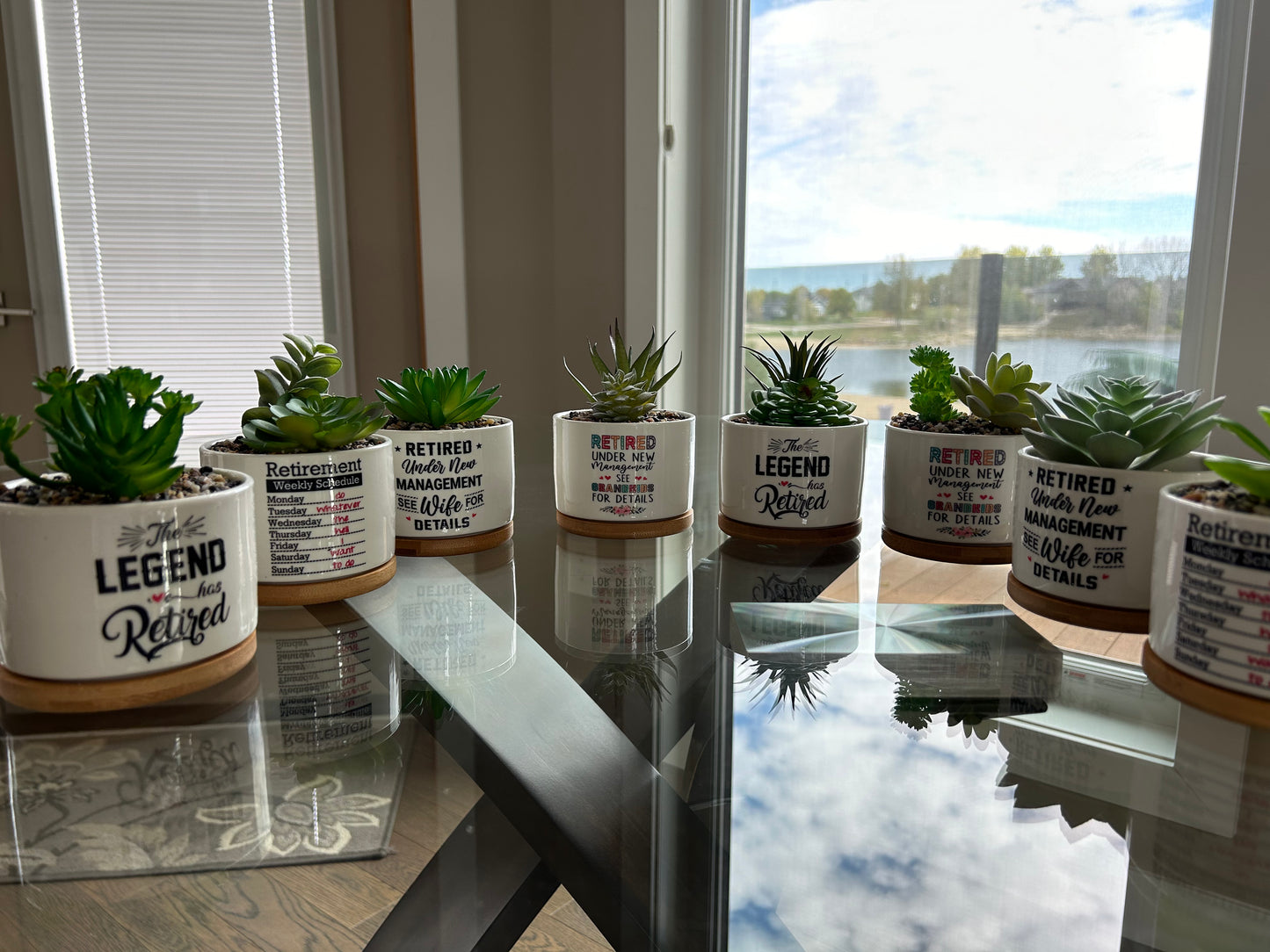 Retirement Succulents