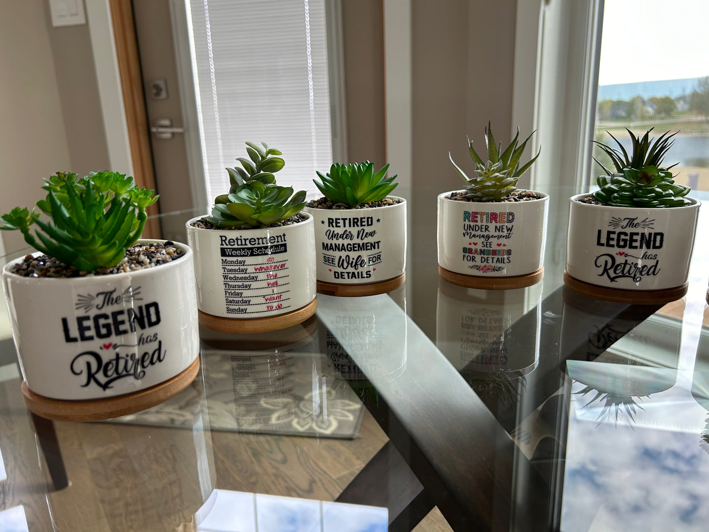 Retirement Succulents