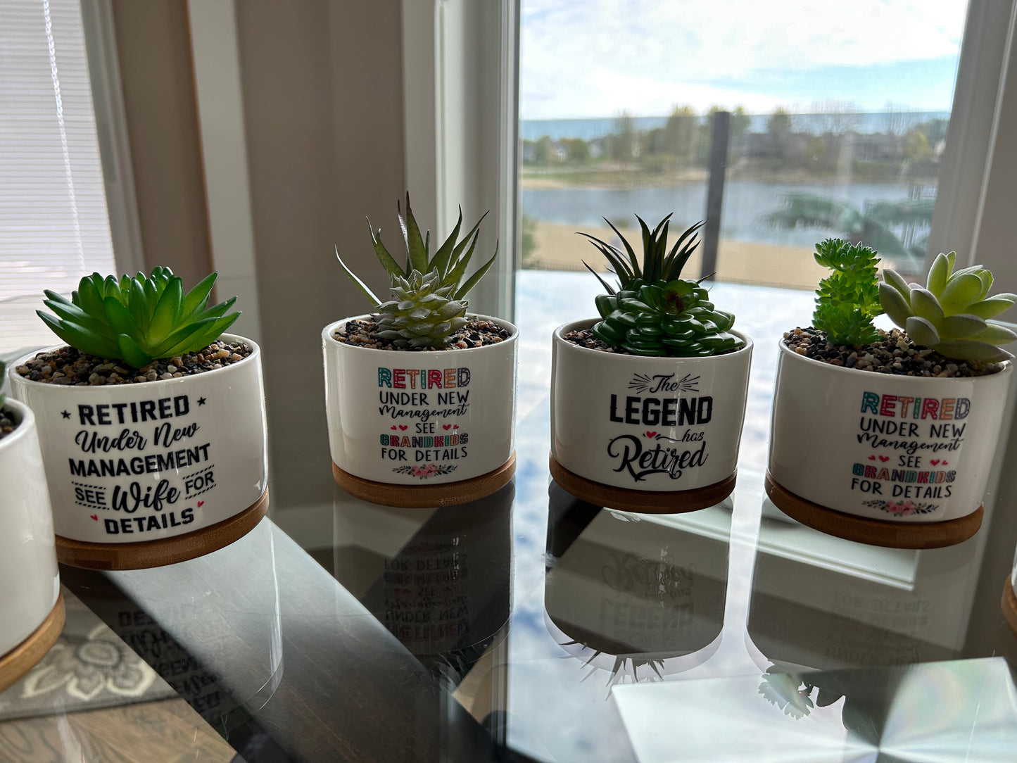 Retirement Succulents