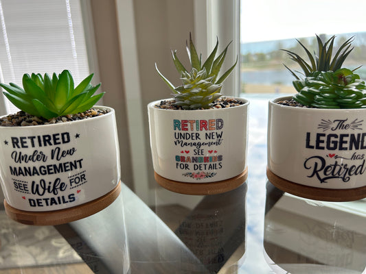 Retirement Succulents