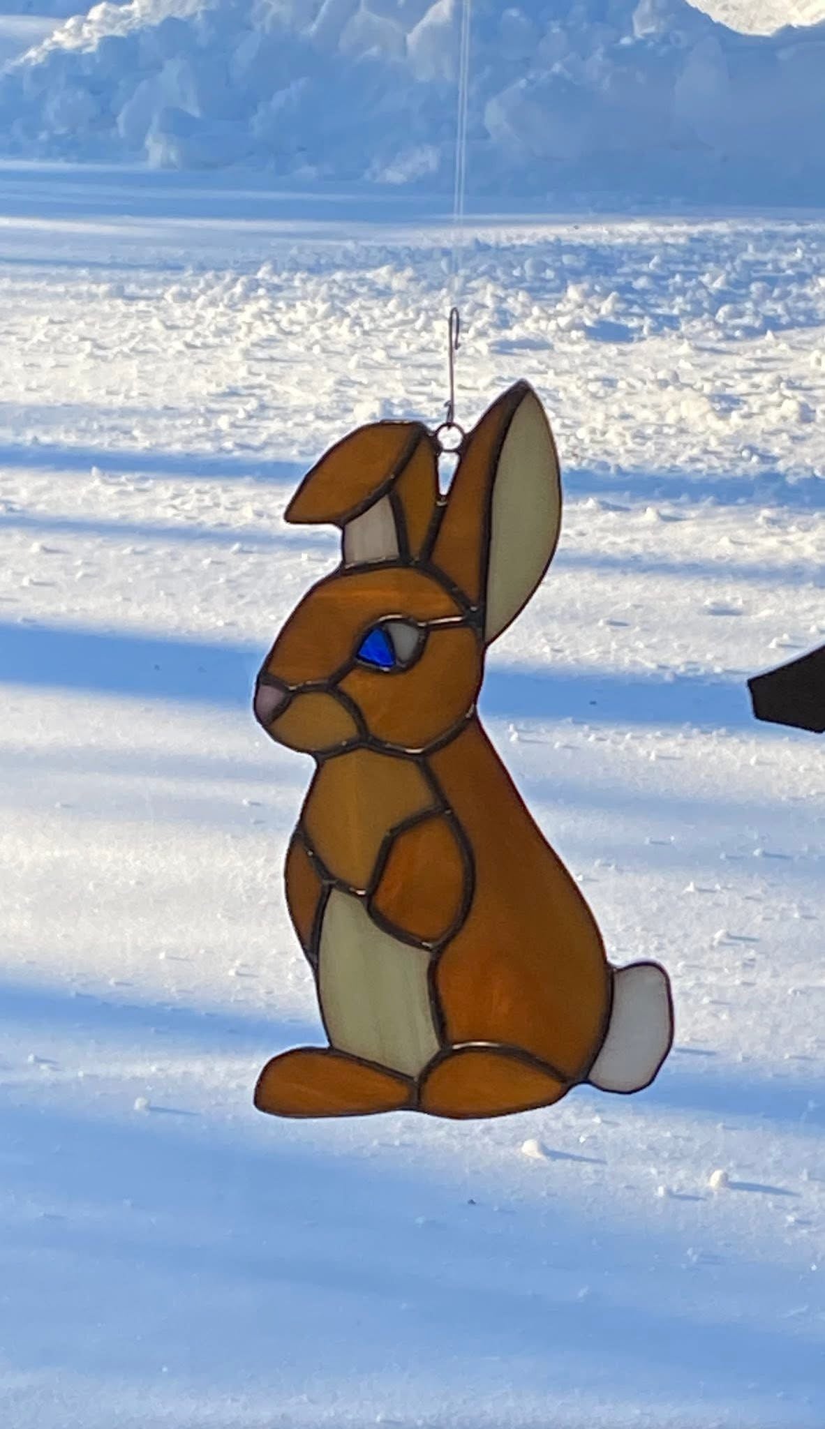 Bunny