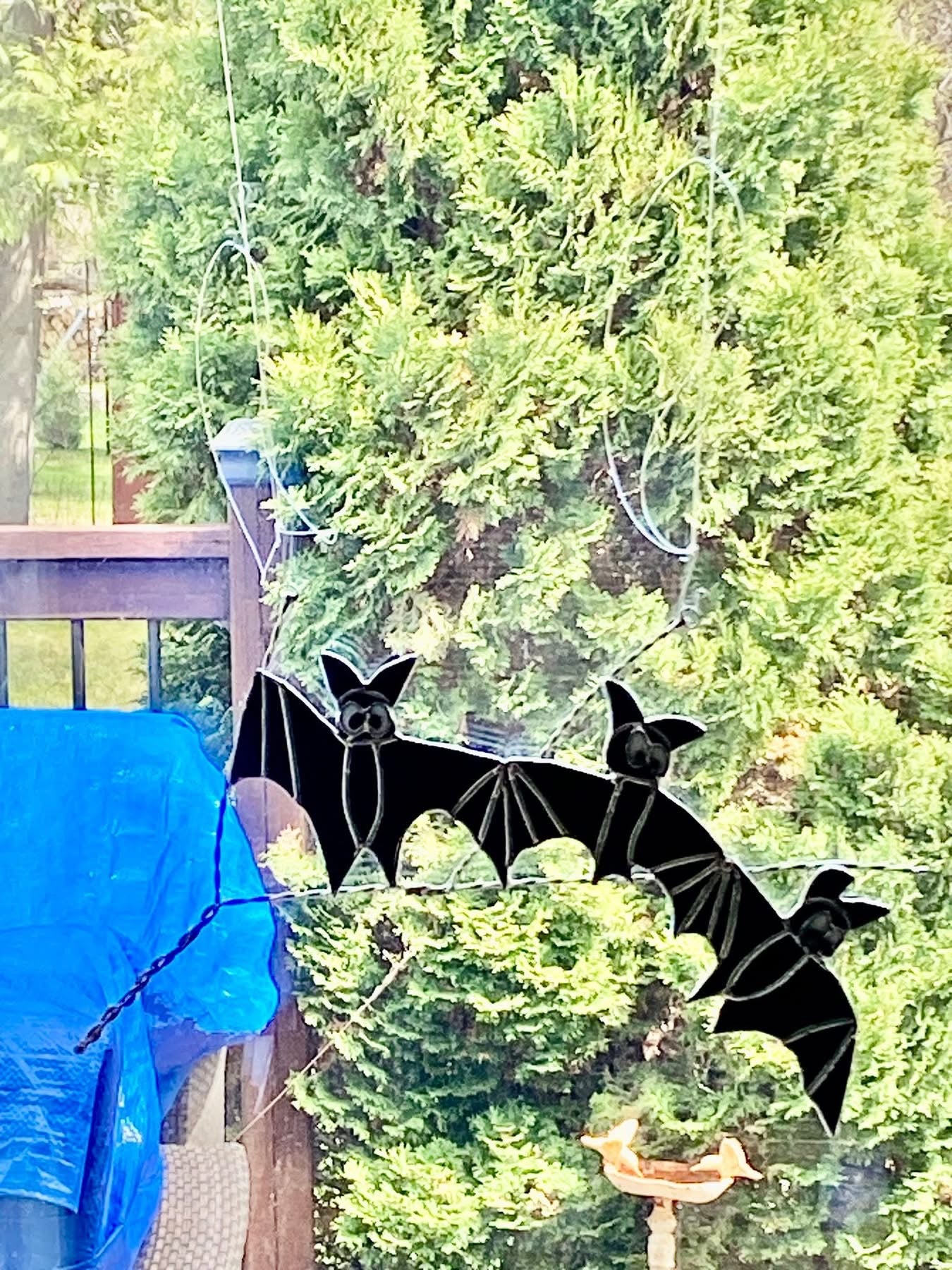 Tumbling Bats