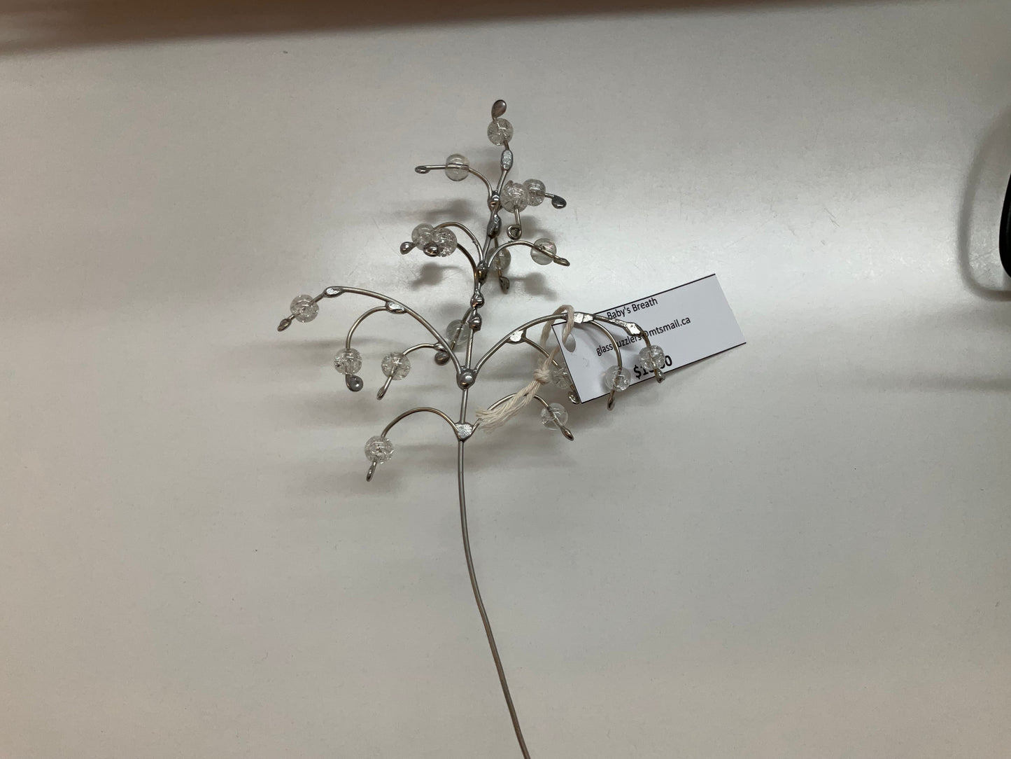 Baby’s Breath Plant Poke