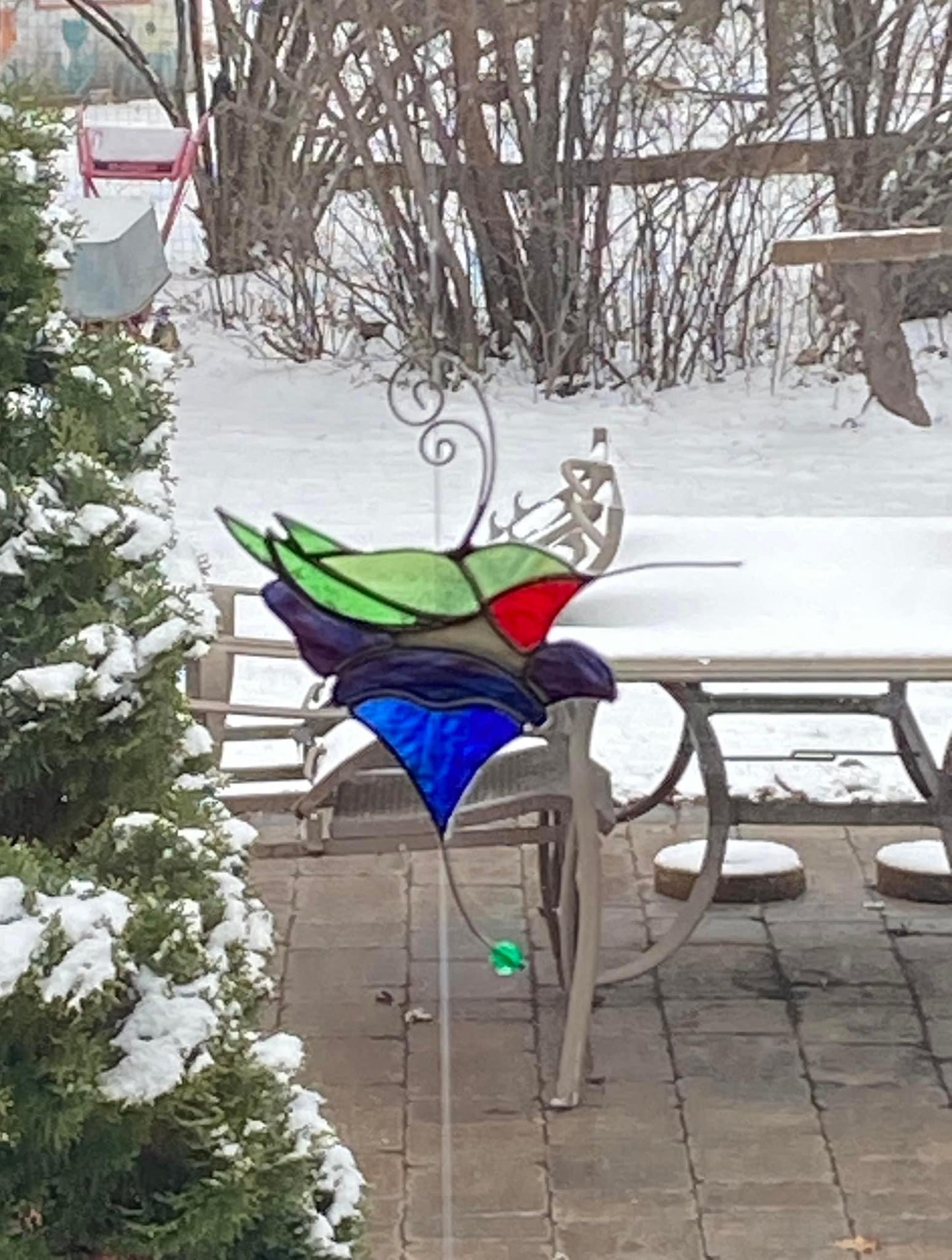 Hummingbird on a Flower