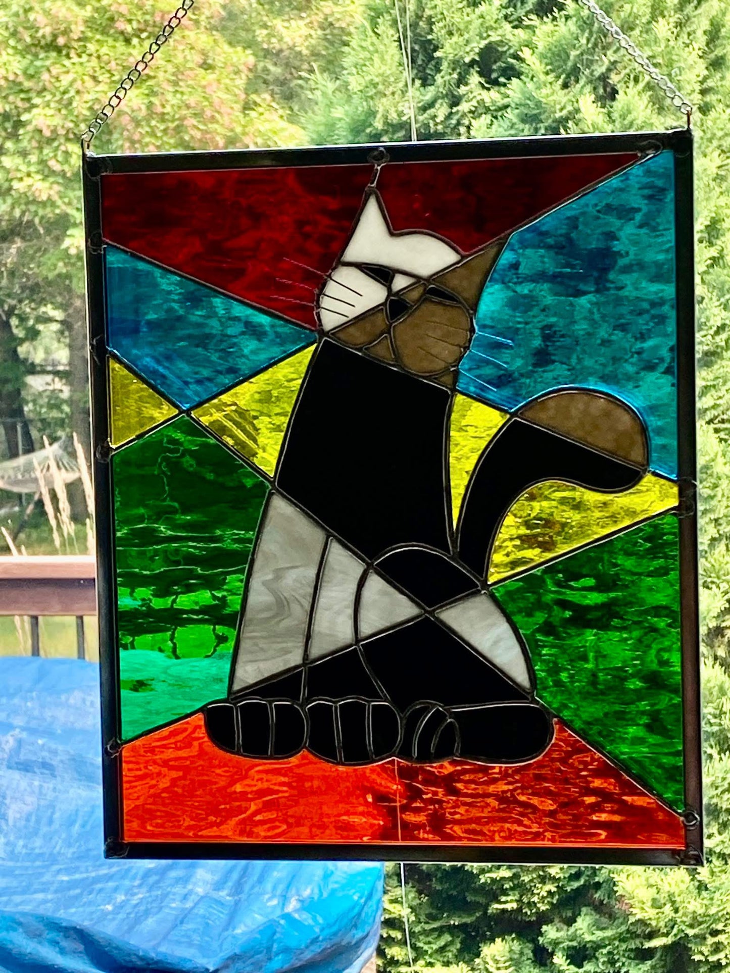 Gato Picasso