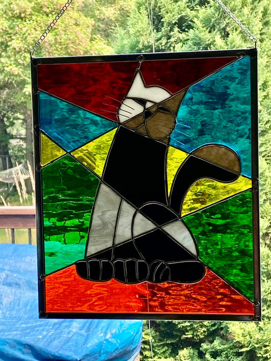 Gato Picasso