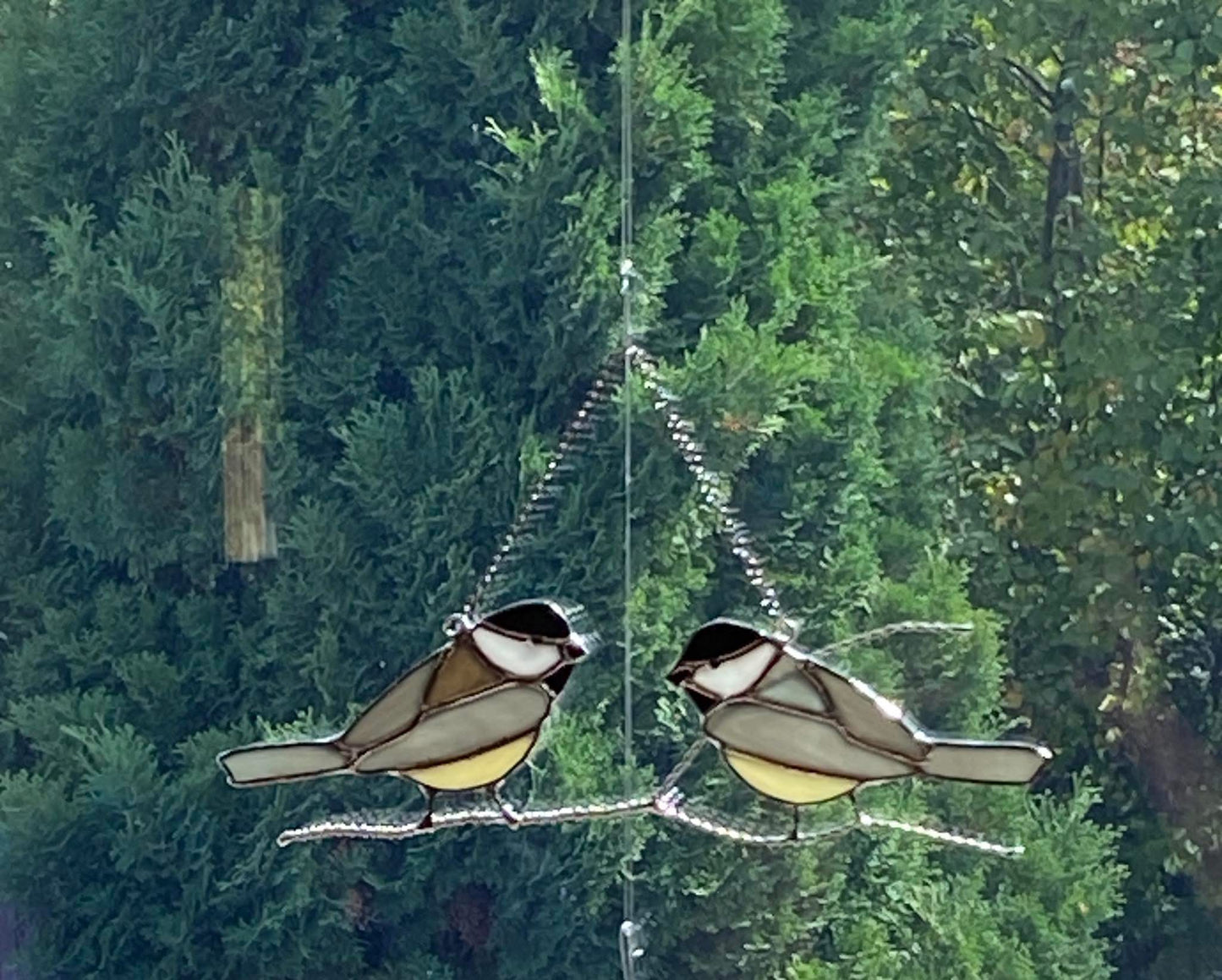 Two Chickadees on a Branch