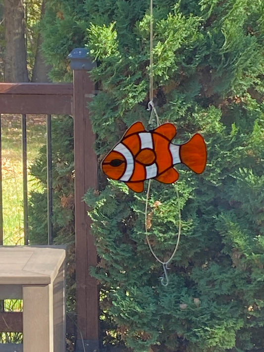 Clown Fish