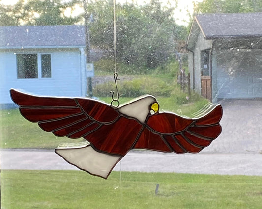 Eagle Soaring