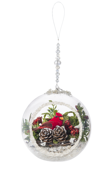 Cardinal Terrarium