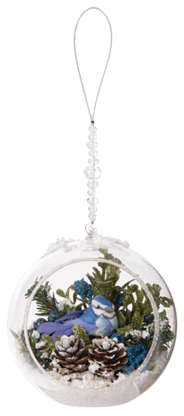 Blue Jay Terrarium