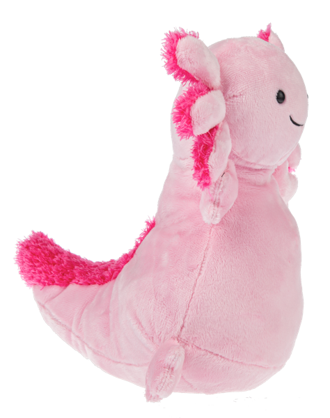 Axton Axolotl
