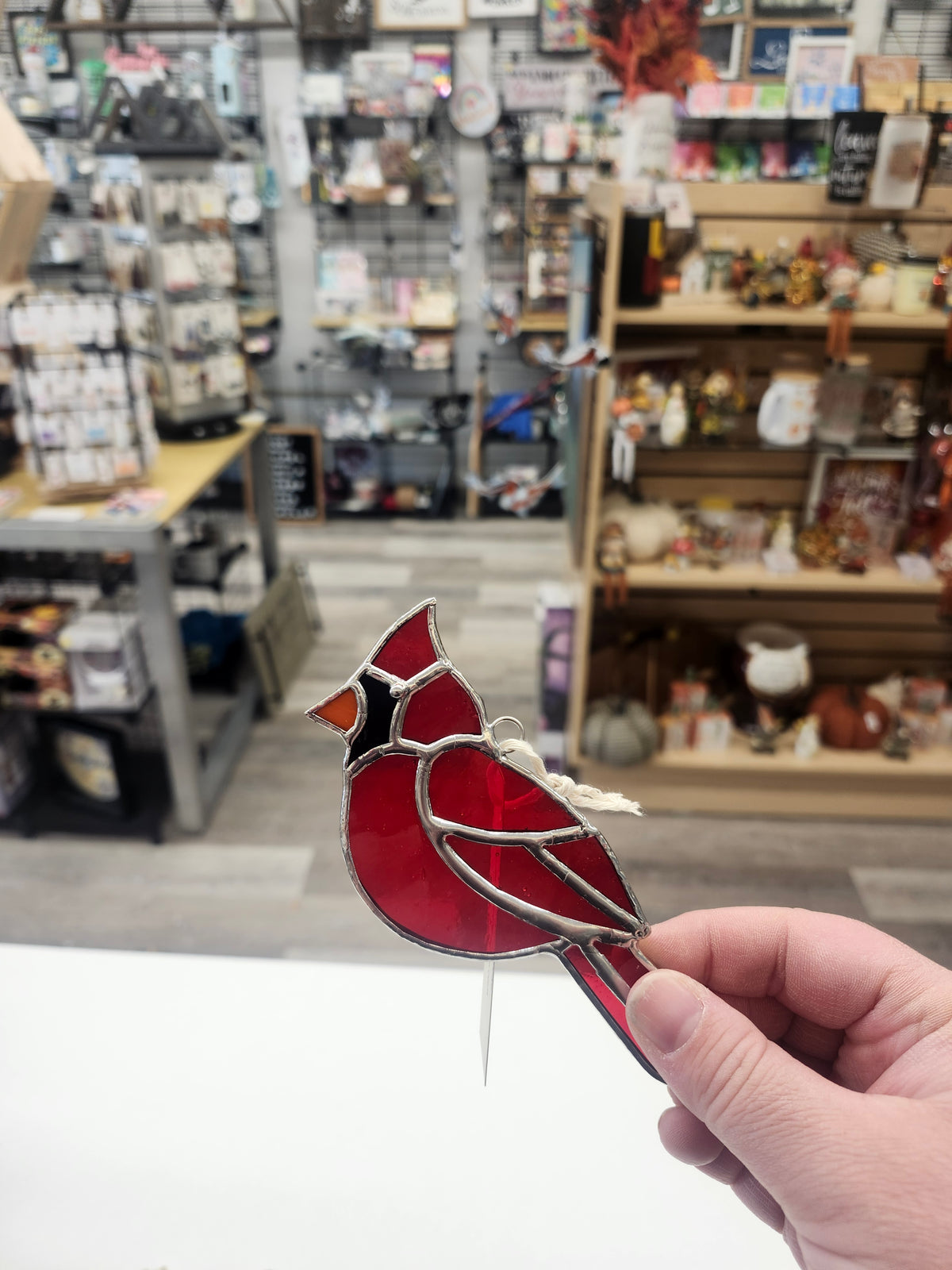 Bird Plant Pokes