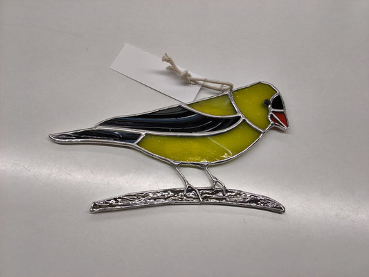 Golden Finch