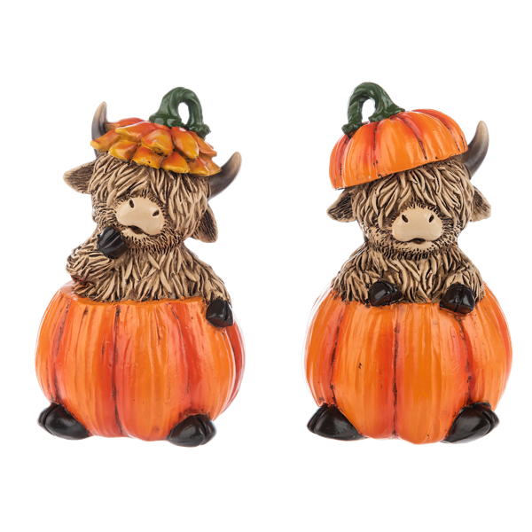 Fall Highland Cows